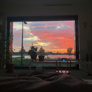 美女又爽❌又黄❌脱脱内内
